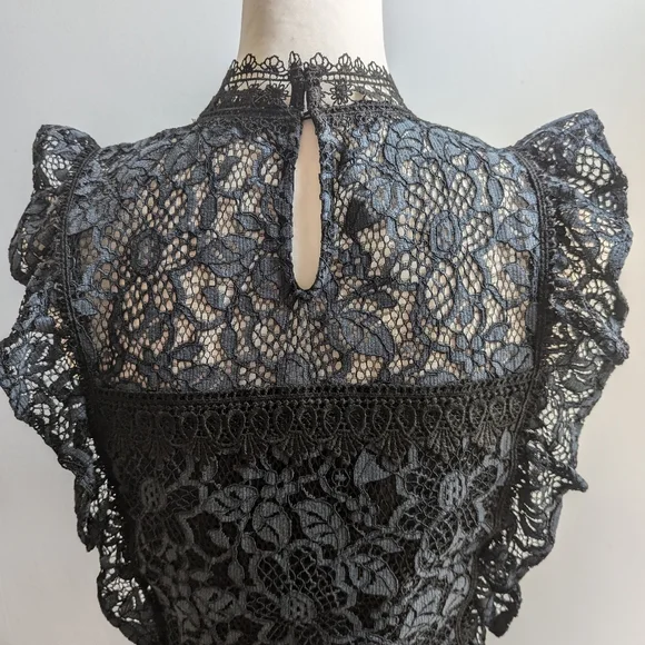 EUC...Beautiful Zara Guipure Lace Dress (with whimsy/goth vibes)  Size Small - Picture 9 of 13
